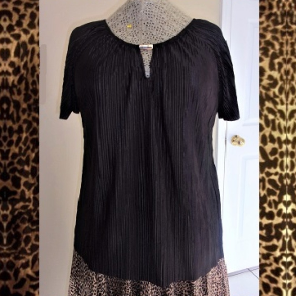 Shiny Silky Pin-Pleated Dressy Peasant Blouse